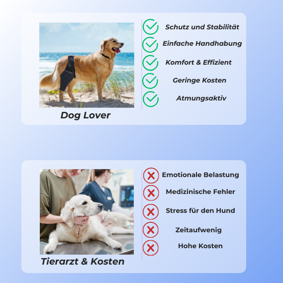 Dog Lover | Unsere Vierbeiner