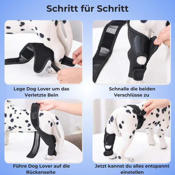 Dog Lover | Unsere Vierbeiner