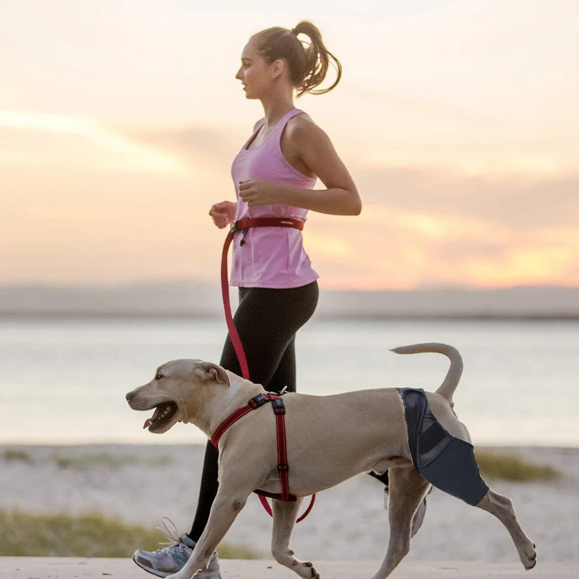 Dog Lover | Unsere Vierbeiner