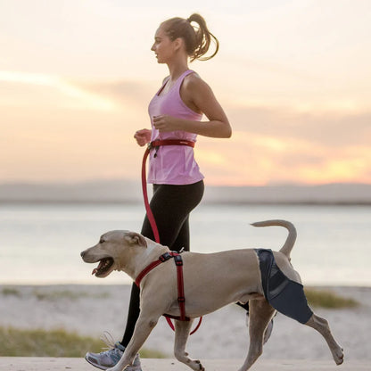 Dog Lover | Unsere Vierbeiner
